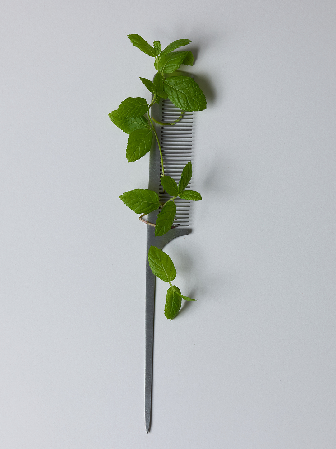 A sprig of fresh mint threaded through the teeth of a grey metal comb against a plain background.
